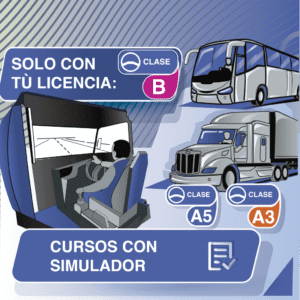 Curso profesional con SIT – Plan común – Asincrónico Temuco