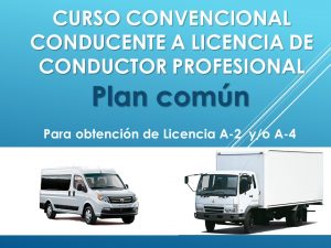 Curso profesional – Plan común – Asincrónico Temuco